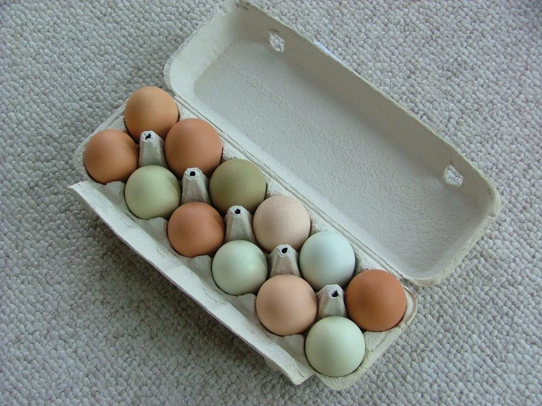 A dozen multi-colored eggs in an open carton.