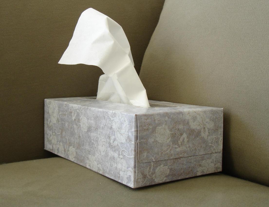 Tissue box on a light green sofa, single tissue protruding.