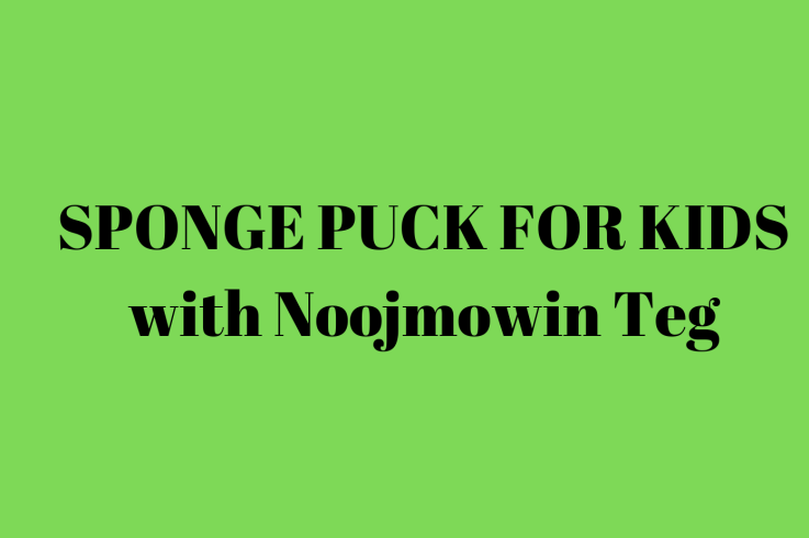 Youth Sponge Puck with Noojmowin Teg