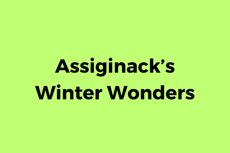 Assiginack’s Winter Wonders
