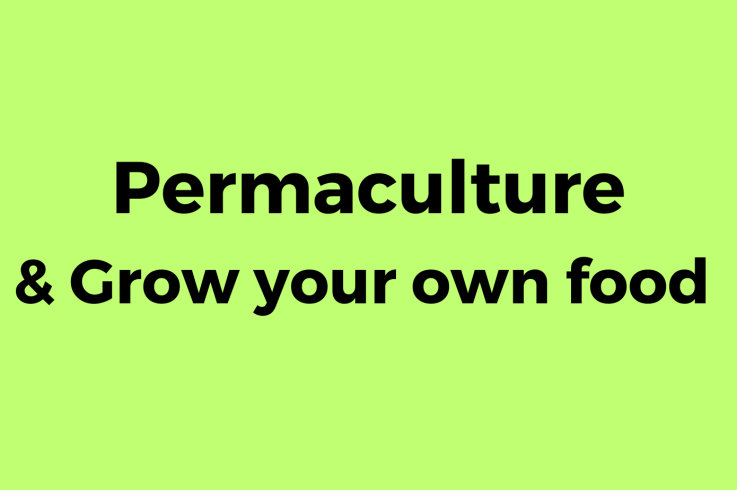 How to grow your own food and how permaculture works